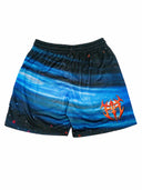 Accretion Disk Mesh Shorts