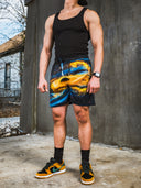 Accretion Disk Mesh Shorts